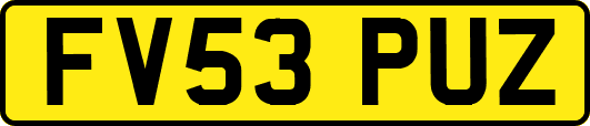 FV53PUZ