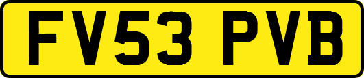 FV53PVB