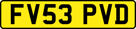 FV53PVD