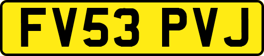 FV53PVJ