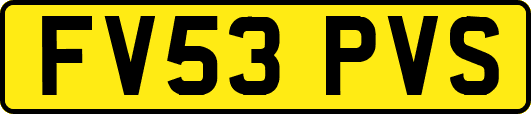 FV53PVS