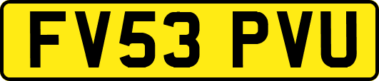 FV53PVU