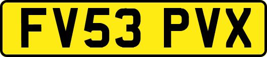 FV53PVX