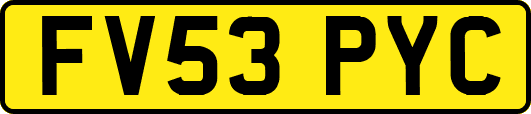 FV53PYC