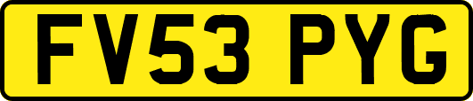 FV53PYG