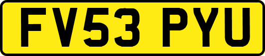 FV53PYU