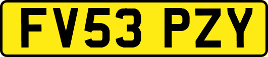FV53PZY