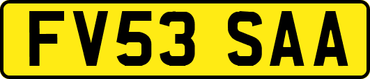 FV53SAA