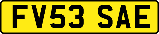 FV53SAE