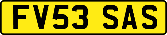 FV53SAS