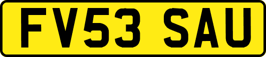 FV53SAU