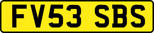 FV53SBS