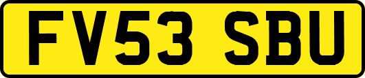 FV53SBU