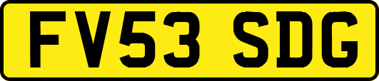 FV53SDG
