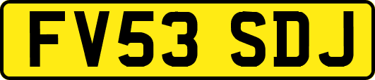 FV53SDJ