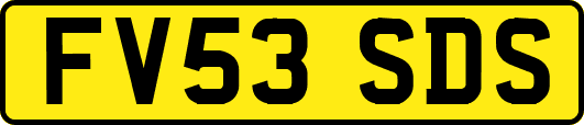 FV53SDS