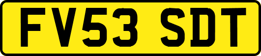 FV53SDT