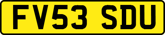 FV53SDU