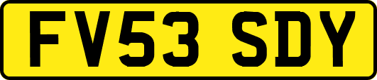 FV53SDY
