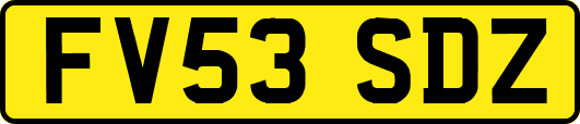 FV53SDZ