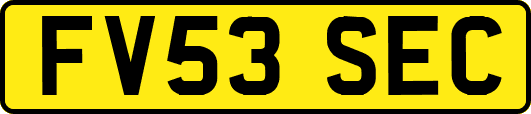 FV53SEC