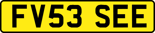 FV53SEE