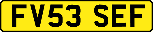 FV53SEF