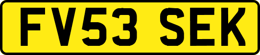 FV53SEK