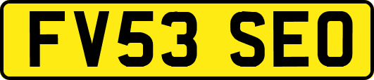 FV53SEO