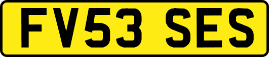 FV53SES