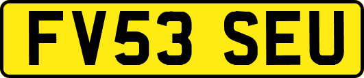 FV53SEU