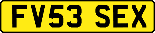 FV53SEX