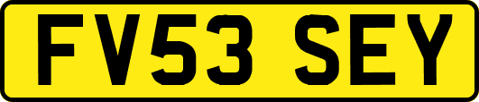 FV53SEY