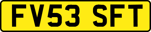 FV53SFT
