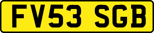 FV53SGB