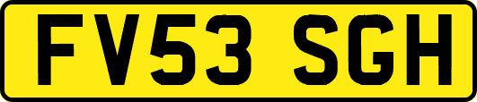 FV53SGH