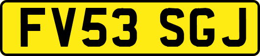 FV53SGJ