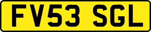 FV53SGL