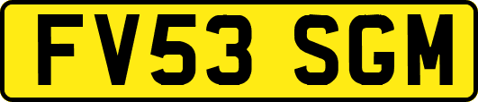 FV53SGM