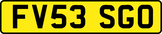 FV53SGO