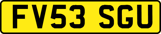 FV53SGU