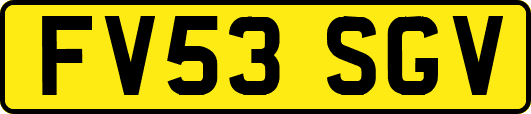 FV53SGV