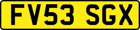 FV53SGX