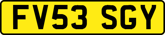 FV53SGY