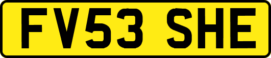 FV53SHE