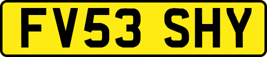 FV53SHY