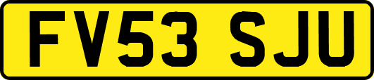 FV53SJU