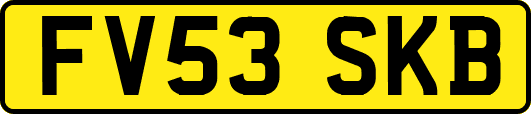 FV53SKB