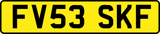 FV53SKF