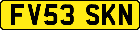 FV53SKN